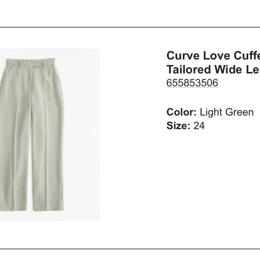 NWT Abercrombie Light Green Tailored Wide Leg Pants